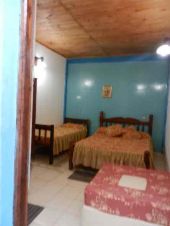 La Esquina Del Bambu Hotel Puerto Iguazú Eksteriør billede